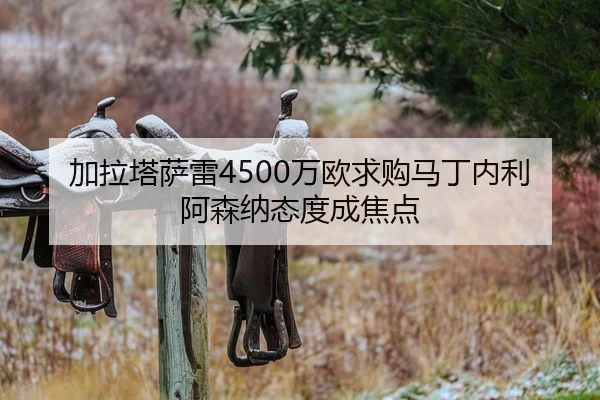 加拉塔萨雷4500万欧求购马丁内利阿森纳态度成焦点